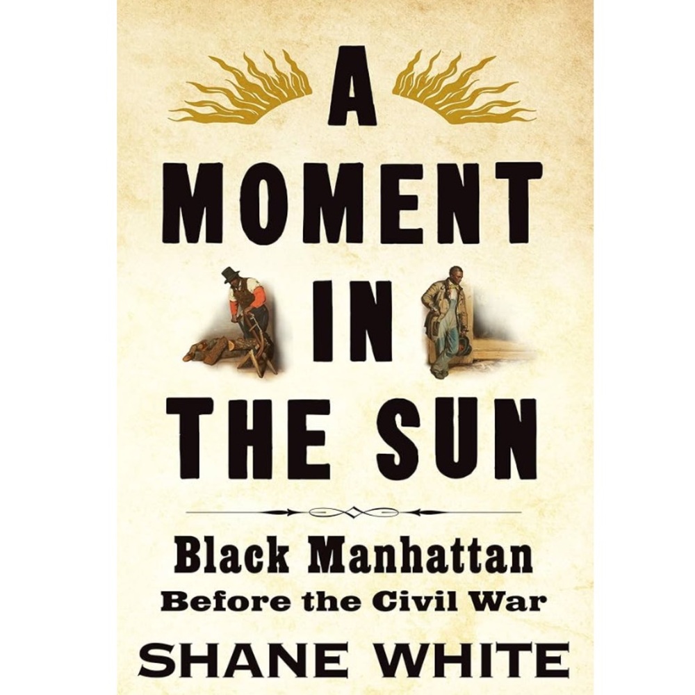 A Moment in the Sun by Shane White